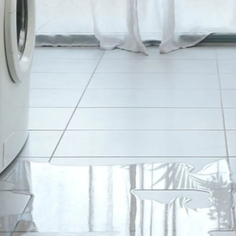 Appliance Leak Cleanup in Tierra Verde, FL
