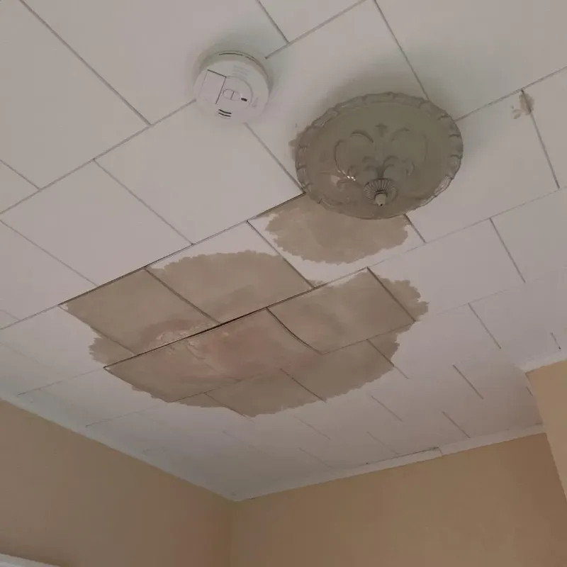 Ceiling Water Damage Repair in Tierra Verde, FL